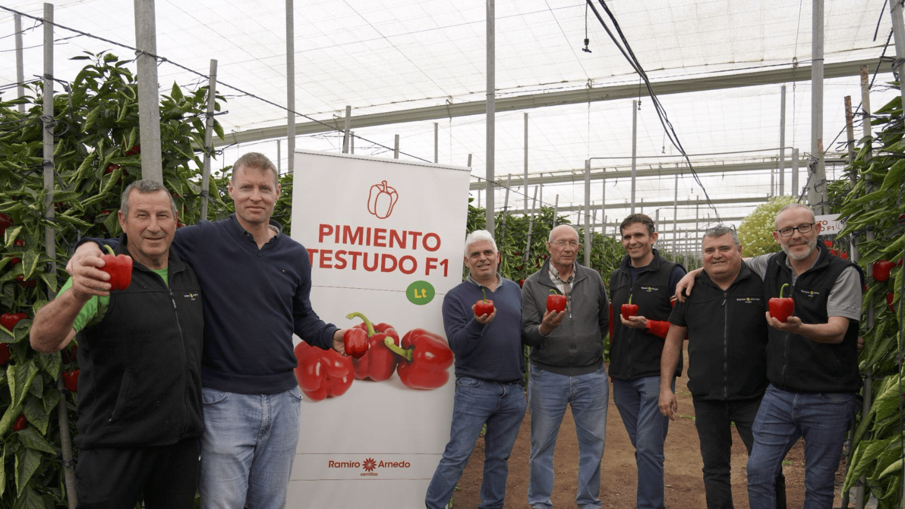 ramiro arnedo pimiento testudo|ramiro arnedo pimiento testudo